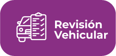 MATRICULACIÓN VEHICULAR