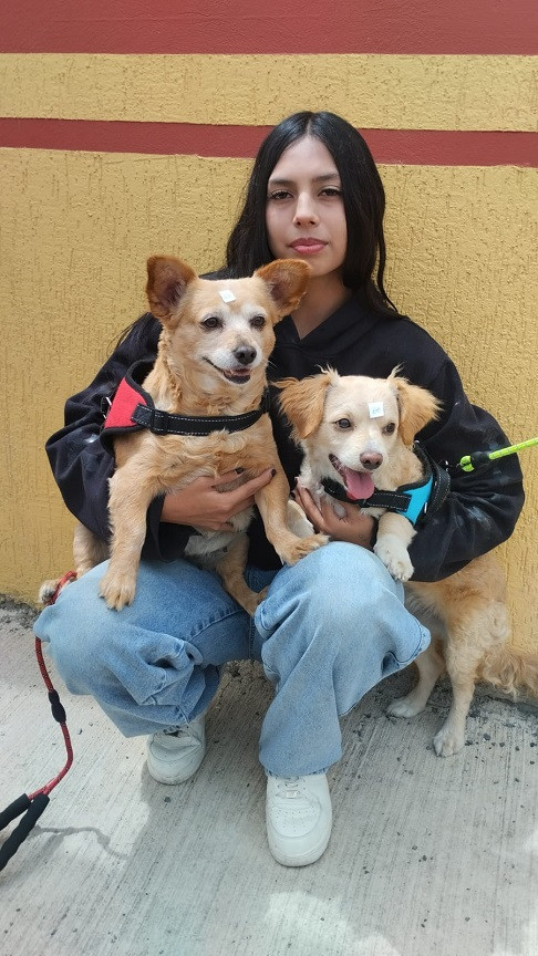 esterilizacion nuevo amanecer