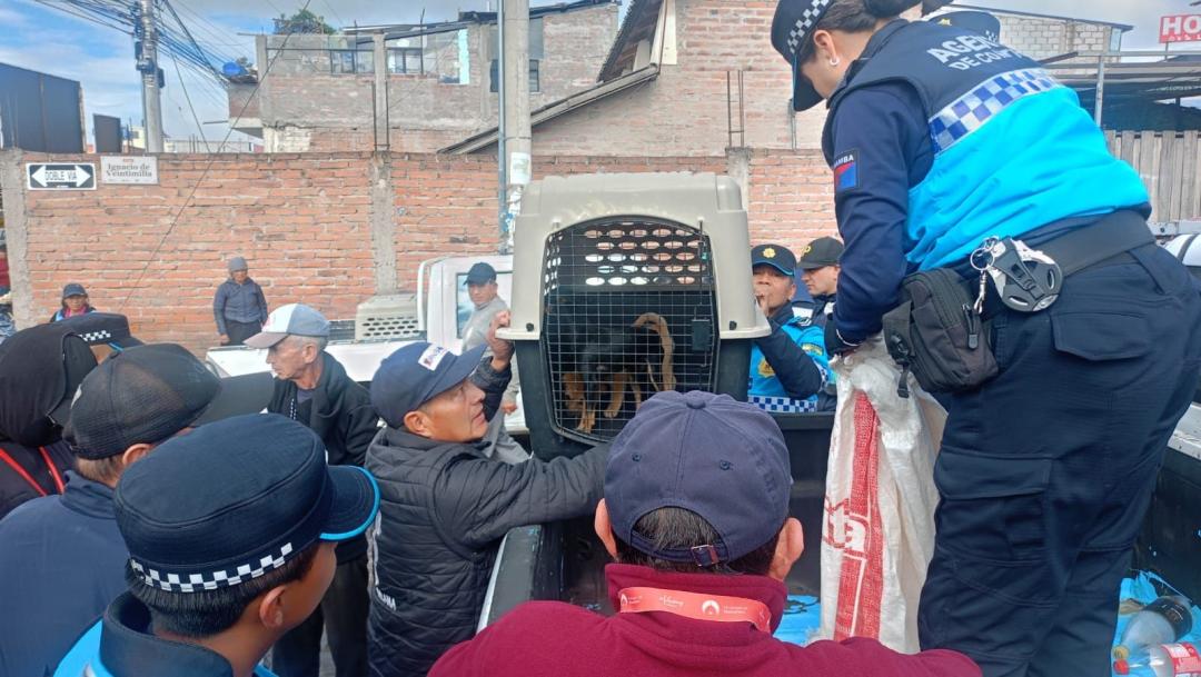 WhatsApp Image 2025 06 13 at 3.38.30 PM