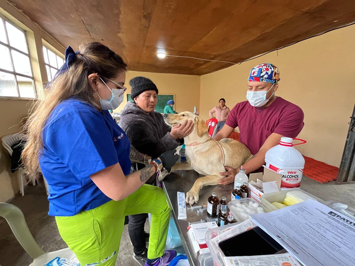 “Patitas” realizó Jornada de Esterilización en la comunidad de Pungalapamba 
